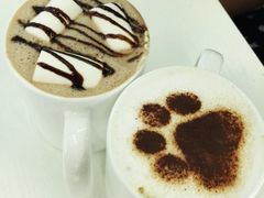 -猫小院猫主题咖啡厅(北锣店)