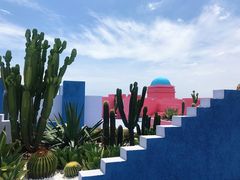 -漳州滨海火山岛自然生态风景区