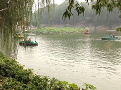 iphone_upload_pic-紫荆山公园