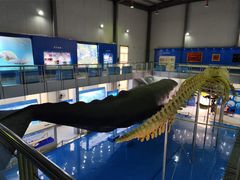 -上海海洋大学鱼文化博物馆(军工路校区)