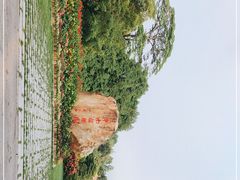 -中国科学院华南植物园