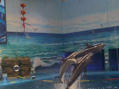 -多彩贵州城极地海洋世界