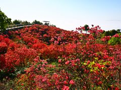 -瑞安圣井山景区