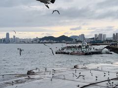 -星海广场