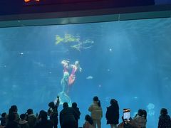 -福州罗源湾海洋世界旅游区