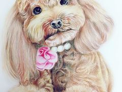 -大卫美术教育(中南路校区)