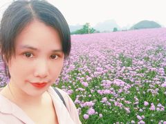 -会仙湿地