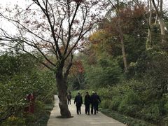 -南山风景名胜区