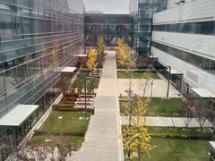 -首都医科大学附属北京天坛医院