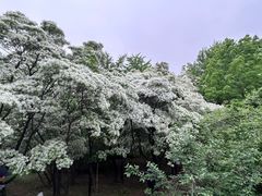 -国家植物园南园