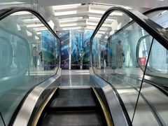 -上海环球金融中心骑迹50年环球之旅