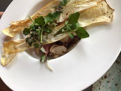 -Ocean's Table 欧舍