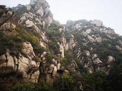 -大岭沟猕猴桃谷风景区