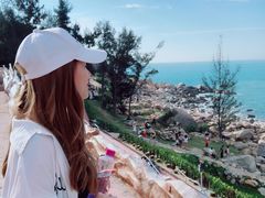 -广东惠东海龟国家级自然保护区