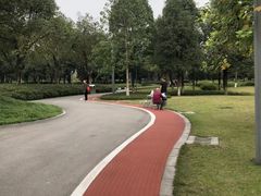 -重庆市江北嘴中央商务区中央公园