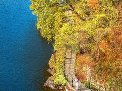 -千年银杏谷文化旅游区