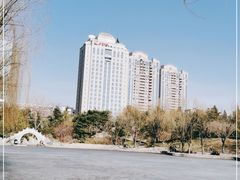 -团结湖公园