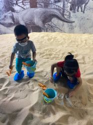 -恐龙探索乐园(磁器口店)