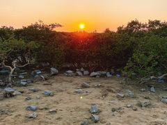 -北海金海湾红树林生态旅游区