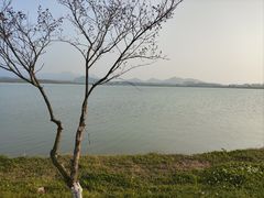 -池州市平天湖风景区