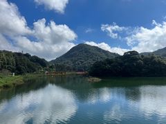 -广州市石门国家森林公园