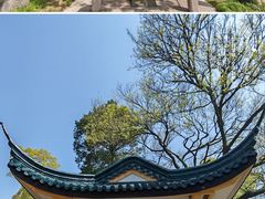 -无锡梅园公园