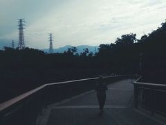 -金鸡山公园