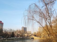-文瀛公园