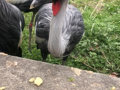 -哈尔滨北方森林动物园