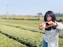 -雪绿茶博物馆
