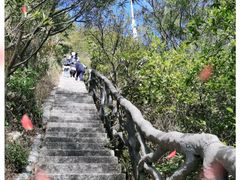 -梧桐山风景名胜区