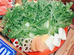 -东镇老火锅(长春路首店)