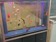 -老杨头烧烤(博烤堂店)
