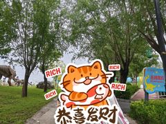 -西部长青自然儿童乐园