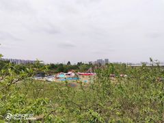 -秀丽东方