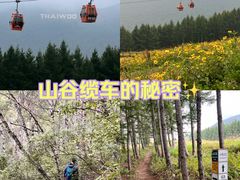 -太舞滑雪小镇