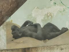 -石家庄市动物园