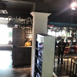 点击看大图 -金棕榈