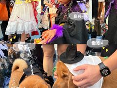 -华谊兄弟（长沙）电影小镇