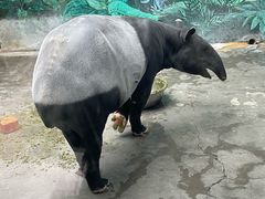 -杭州野生动物世界