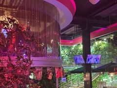 -肉串汪(望京店)