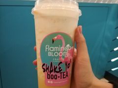 -Flamingo Bloom(TST /尖沙咀店)