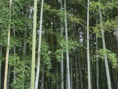 -豫园