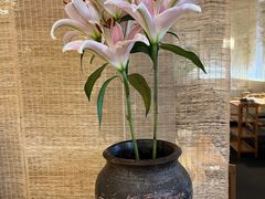 -十二舍·湯物素煮(江泰潤政店)