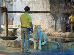 -清迈夜间动物园