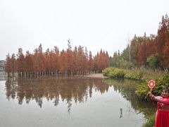 -白鹭湾湿地公园