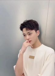 -YESIDO椰岛造型
