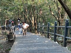 -紫金山山顶公园