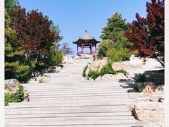 -大兴滨河森林公园