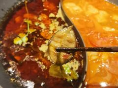 红汤梭边鱼锅-新辣道鱼火锅(航天万源店)